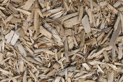 biomass boilers Tresavean